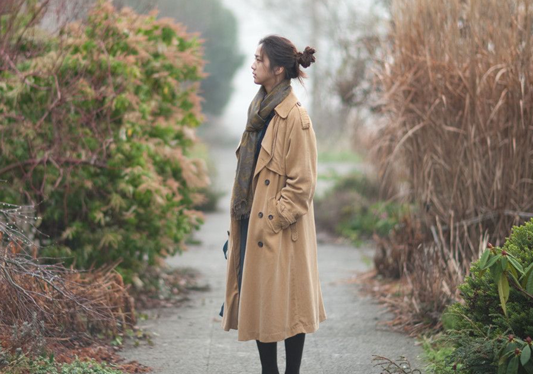 《晚秋》电影的剧情介绍?电影的结局是什么?