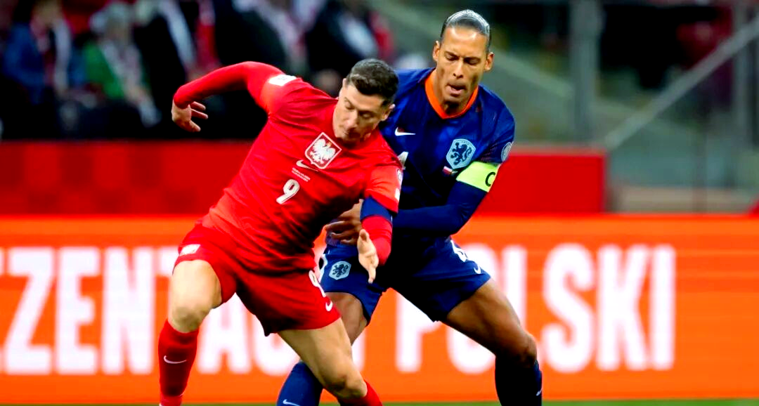 世界杯荷 兰队崛起 实力与风相关图片3