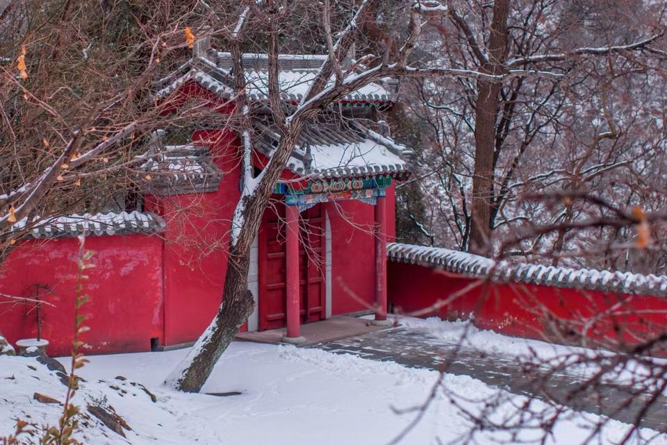 壹图集|雪后的泰山玉泉寺