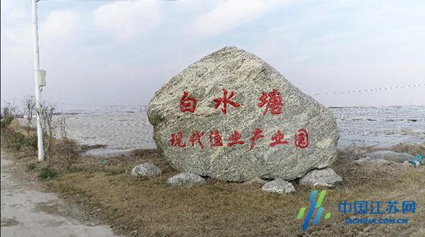 阜宁县沟墩镇:聚力再扬帆奋发向未来