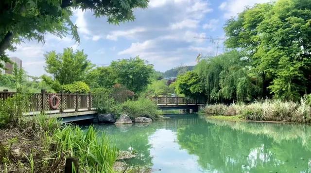 抓住春天的尾巴!双龙生态公园等你打卡