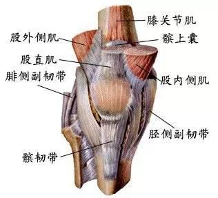 髌骨韧带损伤后怎么办?