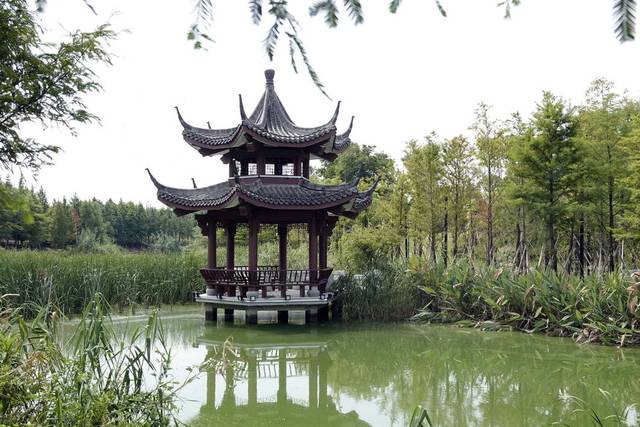 滨水钱塘新添生态公园