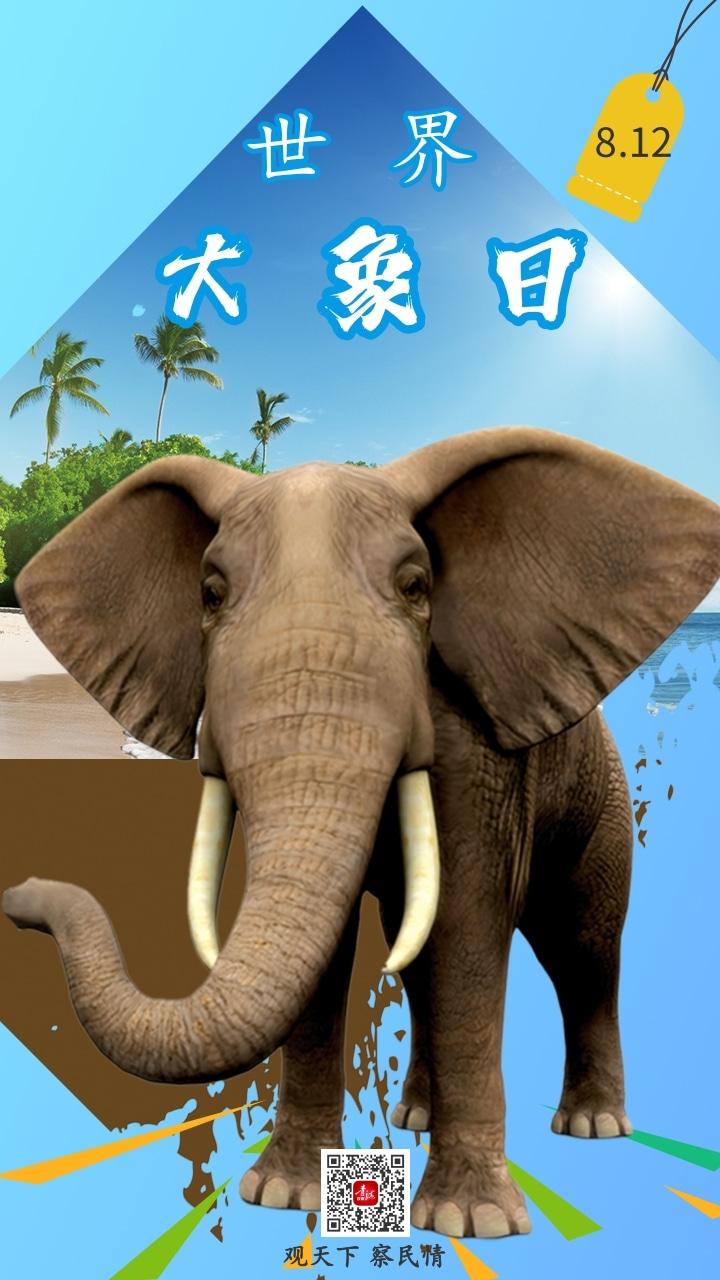 海报|世界大象日 一起保护它
