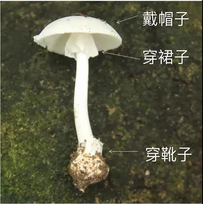 不骗人!这些食品安全风险提示一定要牢记,否则