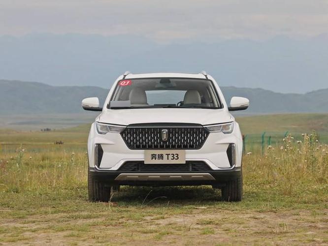 奔腾t33油耗怎么样,实测油耗9l起