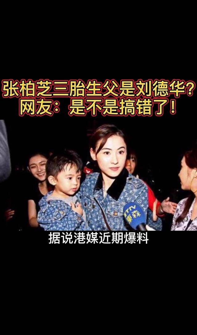 张柏芝亲子鉴定曝光,谢贤欲夺抚养权?