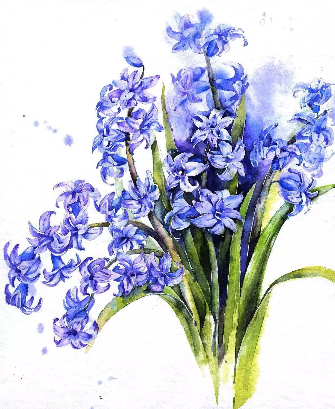 水彩花卉美得心花怒放!