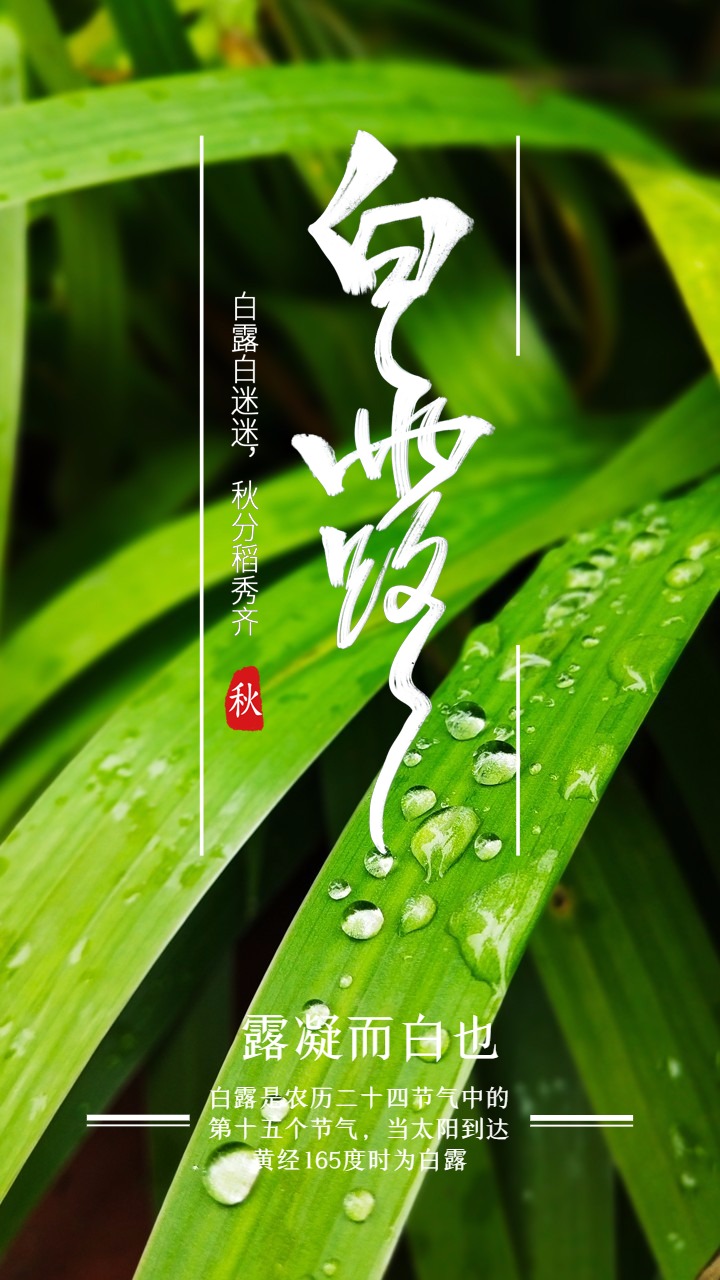 抓住白露好时节,三个方法,甩掉一身膘