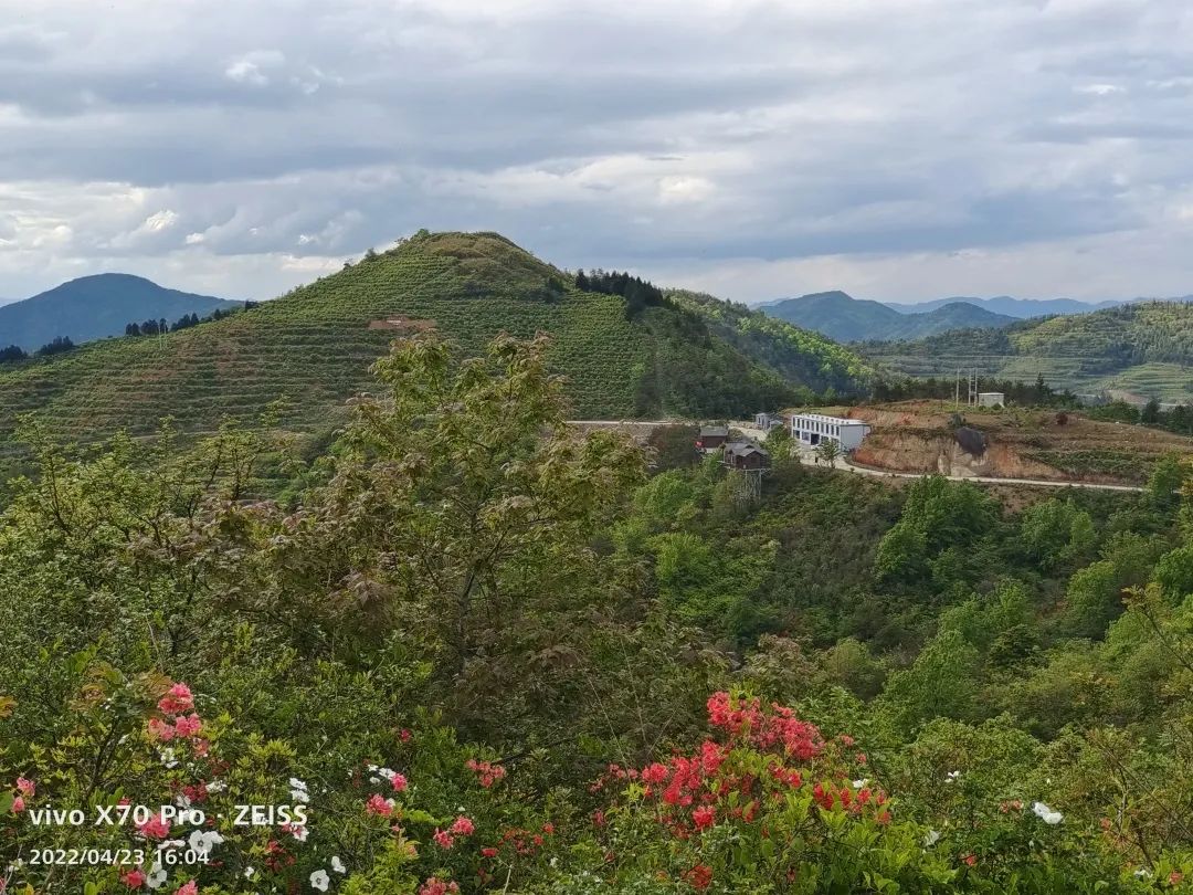 【县乡热线】临海市白水洋镇:"三为一体"激发乡贤"共富引擎"