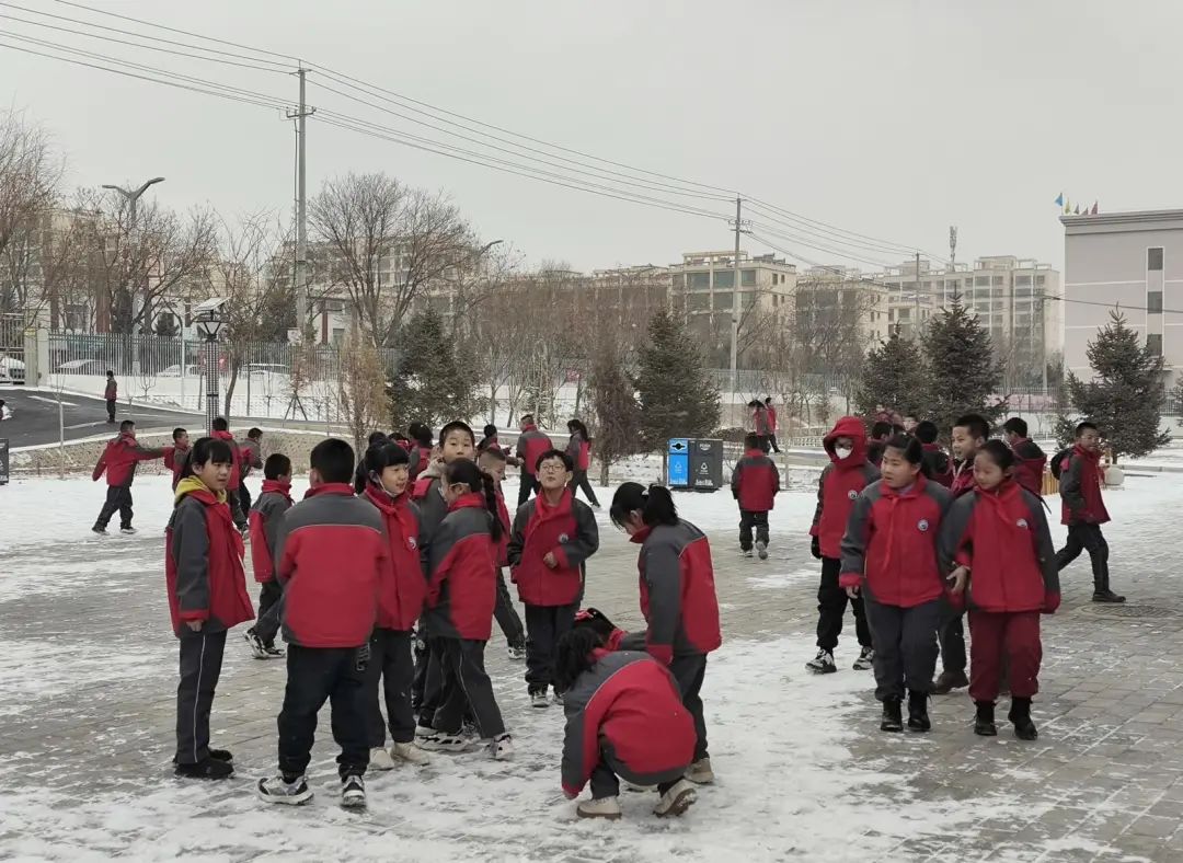 石家庄十五中校服图片