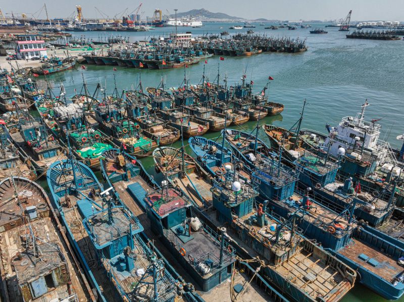 威海4117艘应休渔渔船已停港休渔