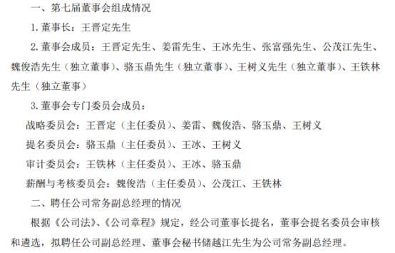 鹏欣资源选举董事长,董事会各专门委员会及聘任高级管理人员