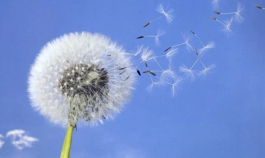 白云千载空悠悠,鹊桥佳人相聚否?