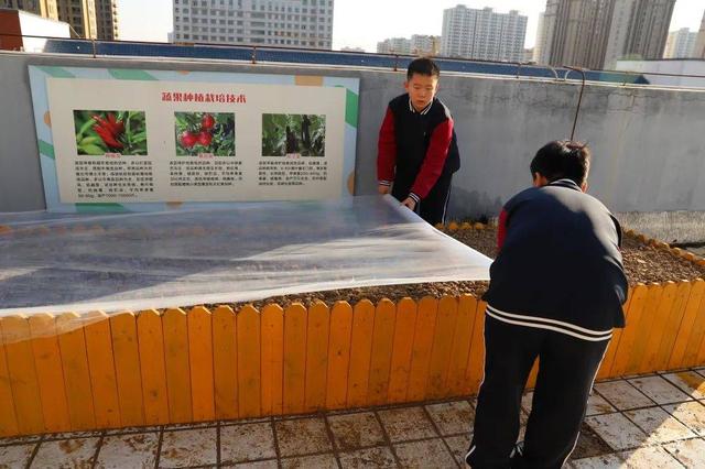 濮阳市开德中学劳动教育案例荣获河南省一等奖