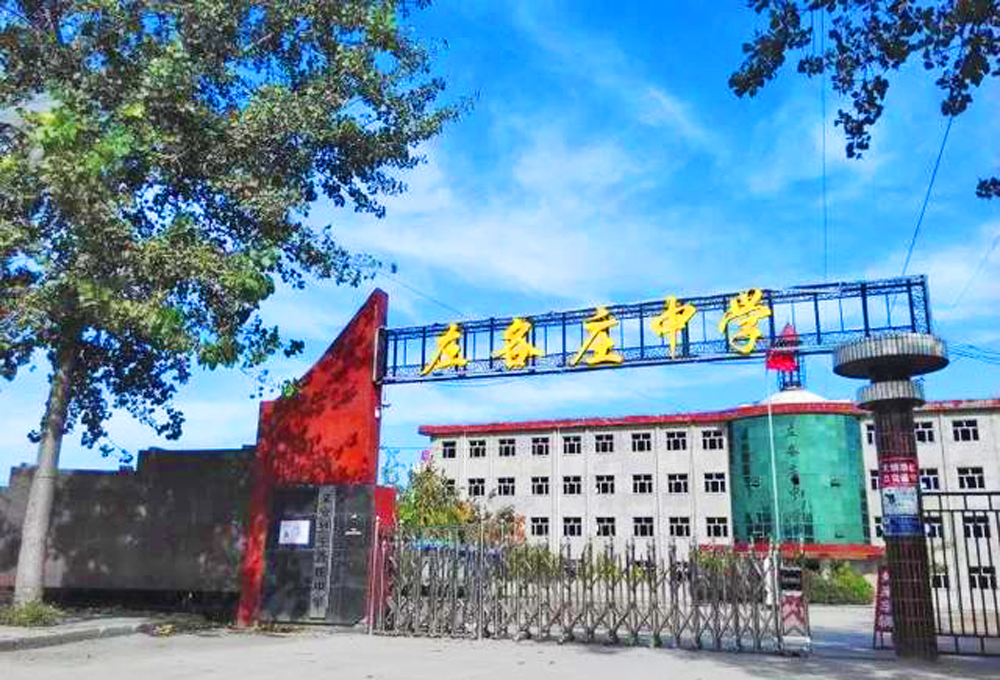 镇区面积超10平方公里,河北文安县左各庄镇为何这么大?