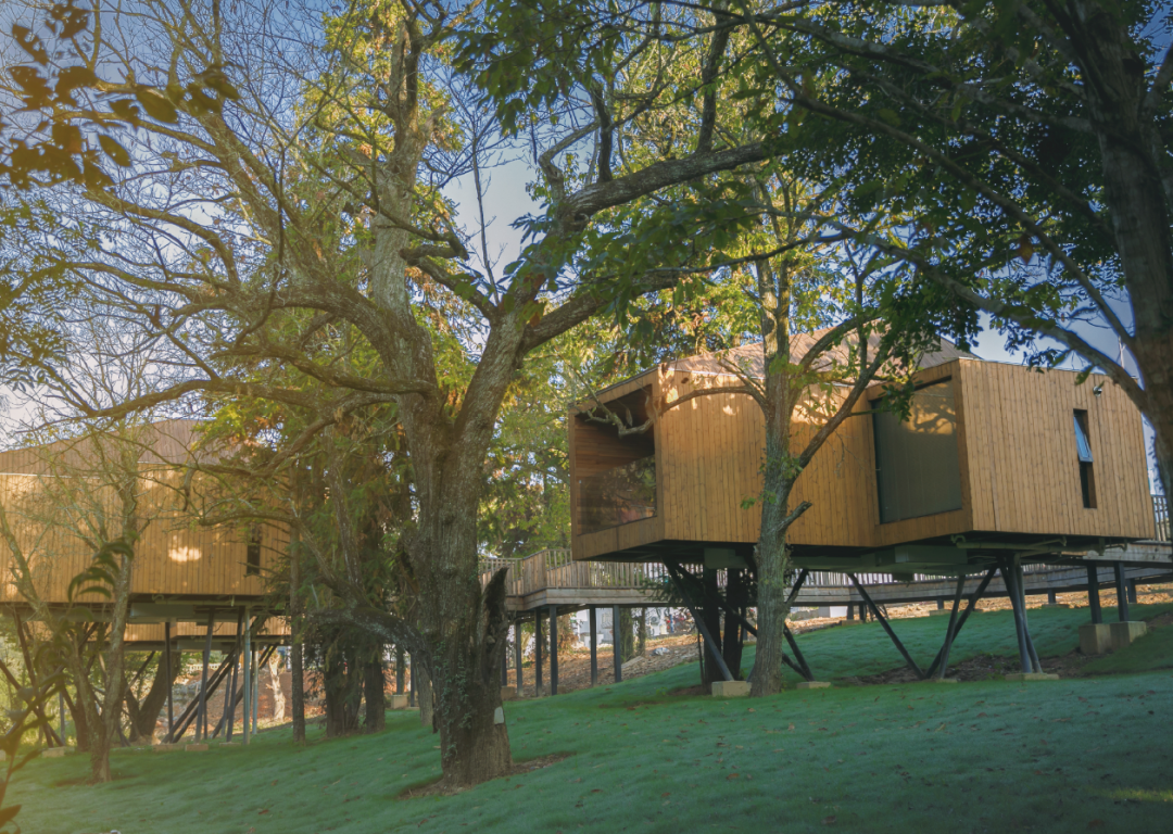 江西婺源:树蛙部落限时特惠 睡进竹海里童话树屋