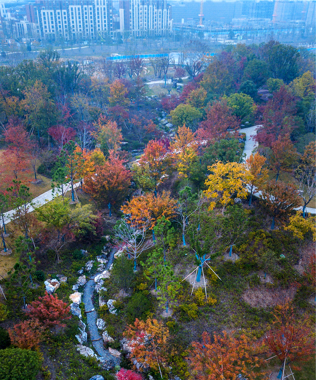 华建集团环境院打造三林楔形绿地"动之谷",展现多彩景观与运动活力