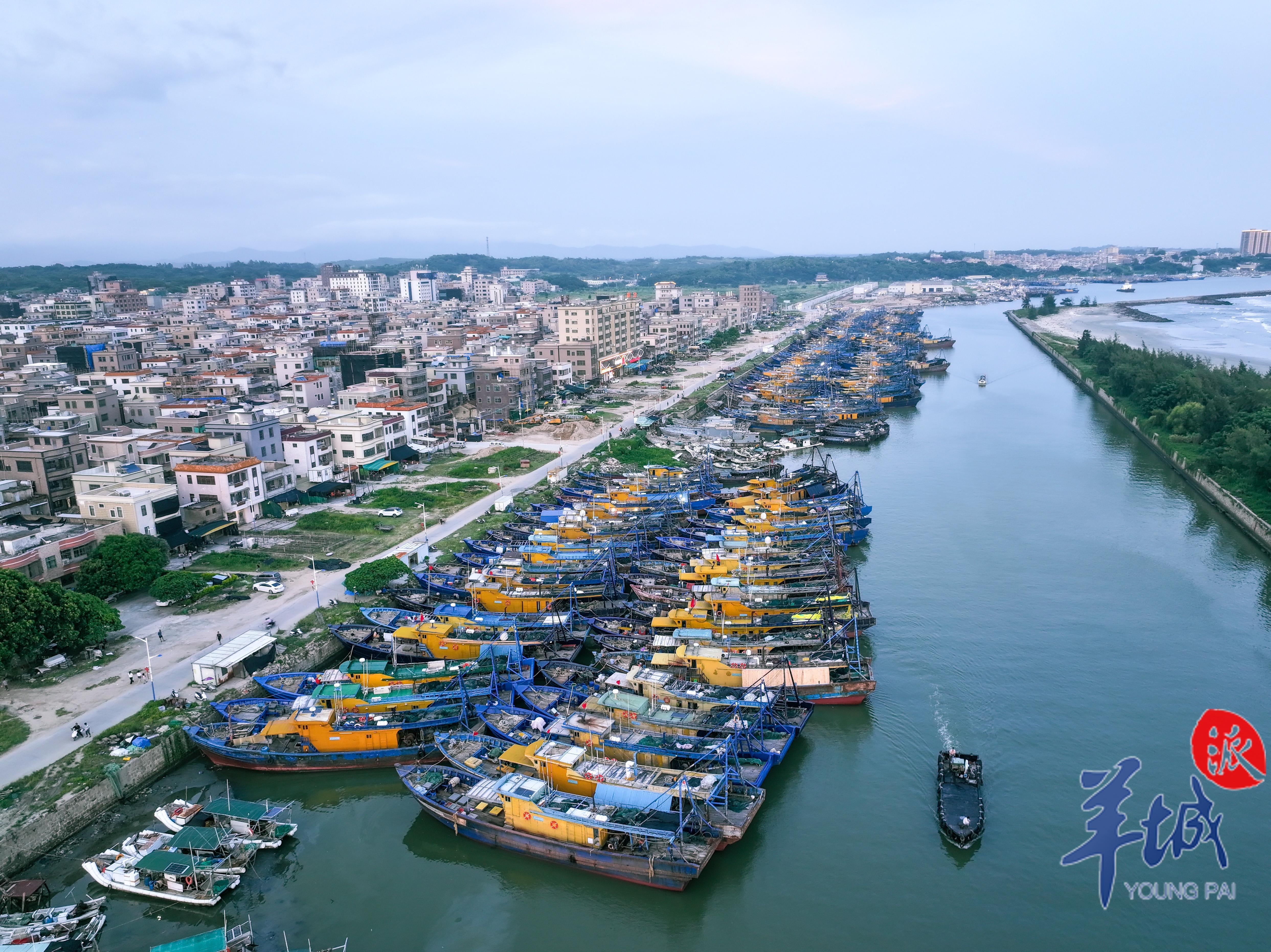 视频 图集|开渔在即!惠来神泉港千帆待发
