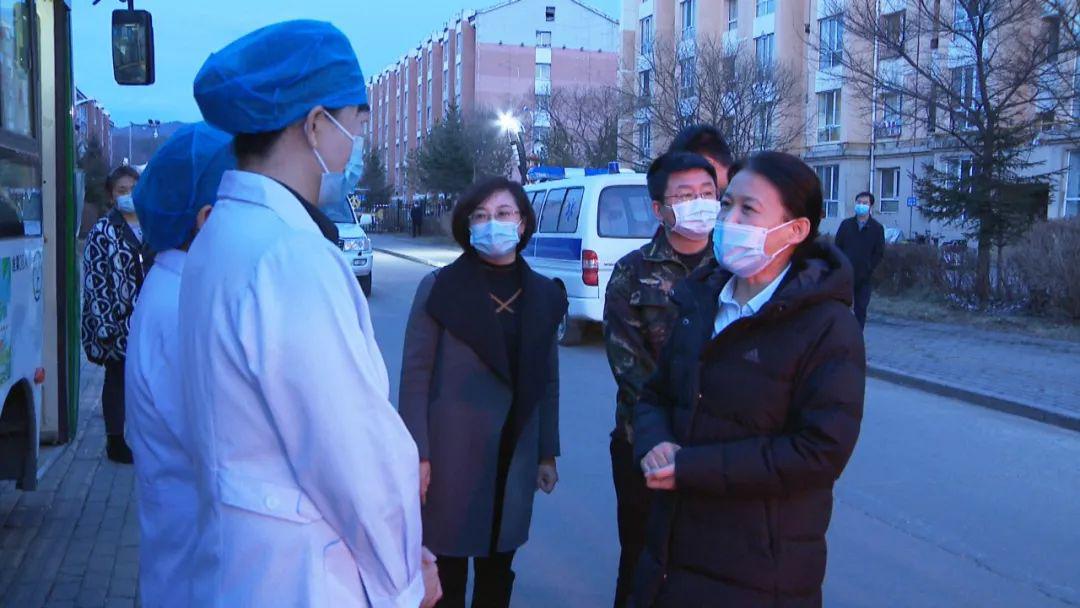 董文琴到乌翠区,金林区,大箐山县,南岔县检查调研