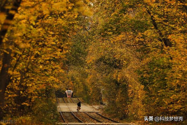 「组图」俄罗斯"颜值"巅峰竟然在秋天 绝美秋景不容错过