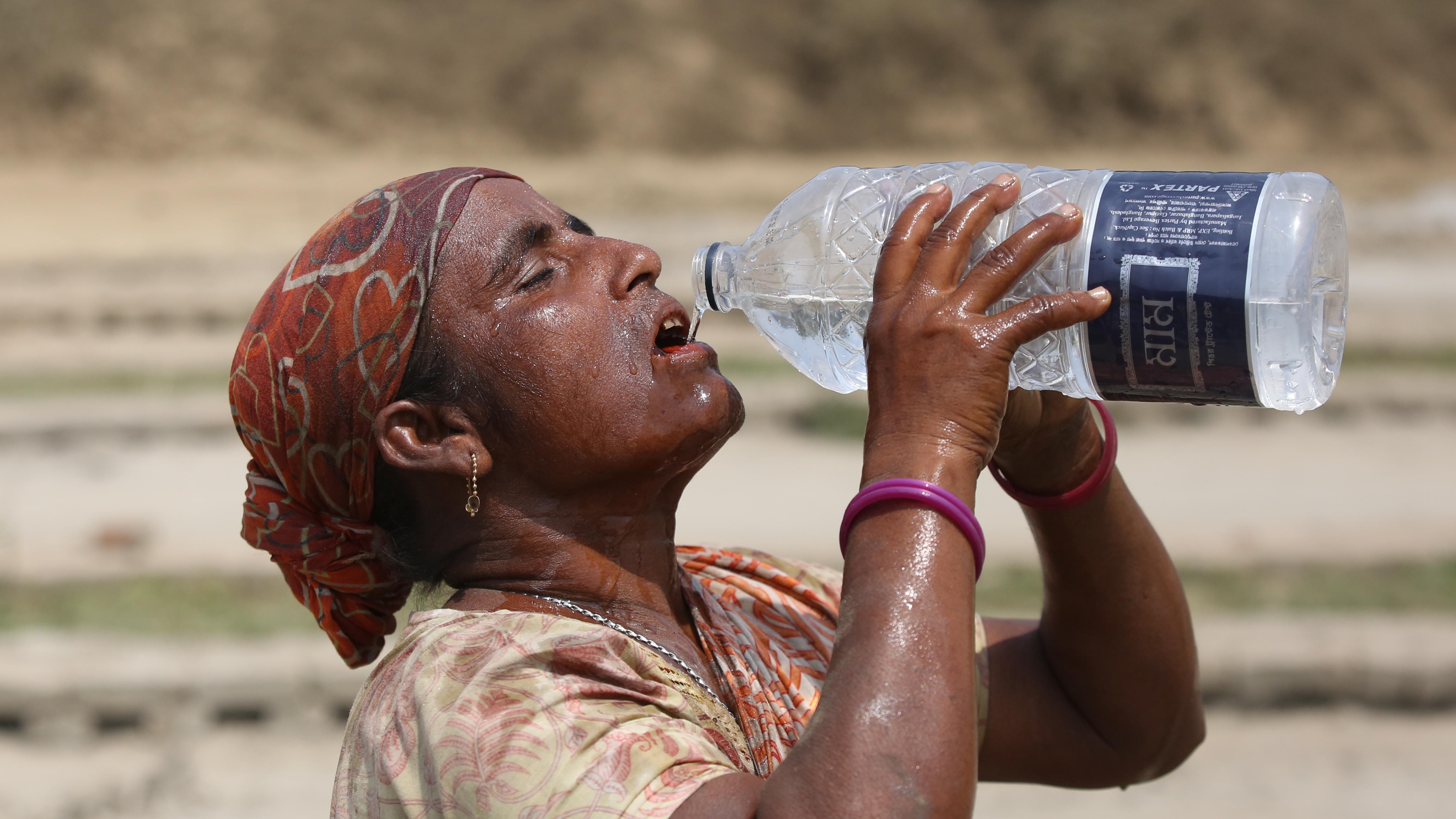 极端高温天气在全球多地频发