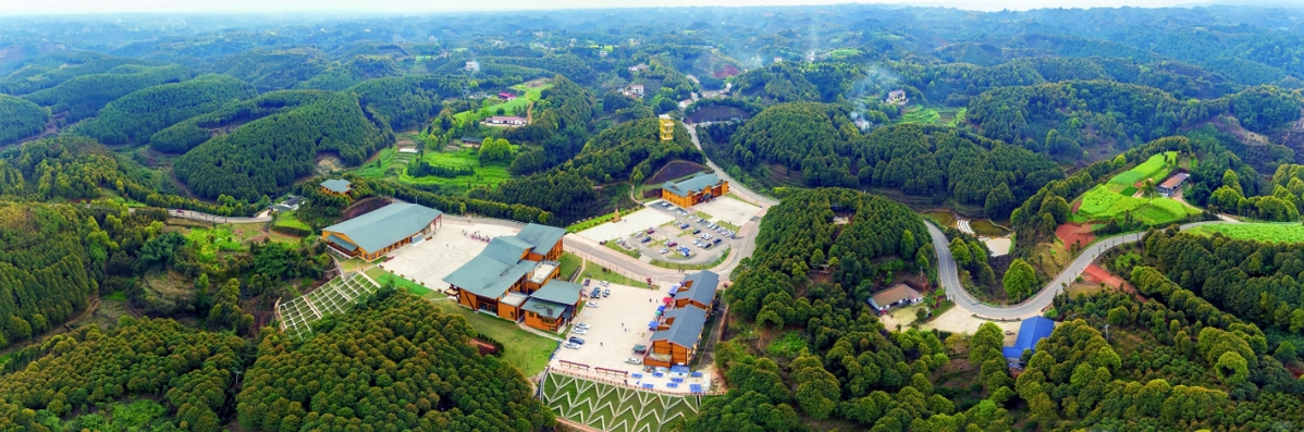 宜宾叙州区着力打造特色文旅品牌