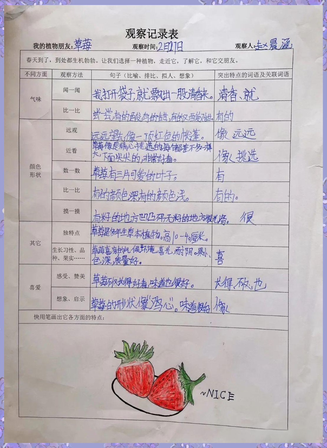 宝小弘毅班植物观察记录表分享