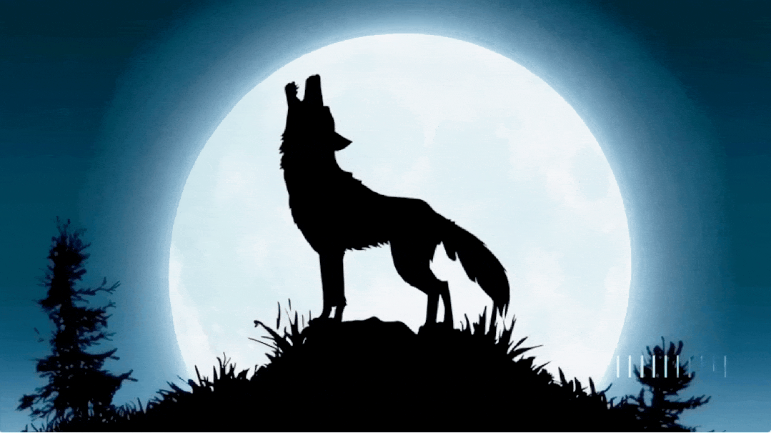 1079_606gif 动态图 动图