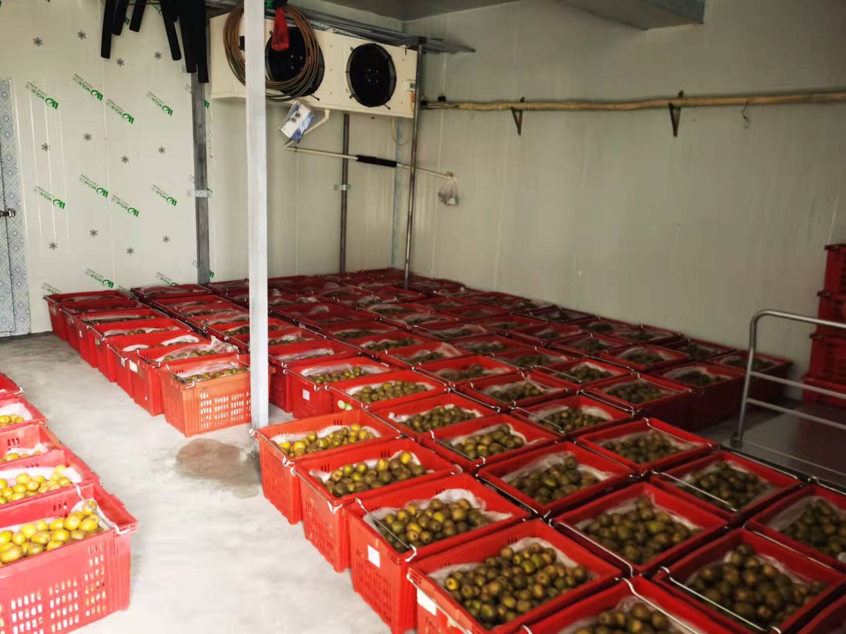 纳雍县农产品产地冷藏保鲜设施让 产业"旺"起来