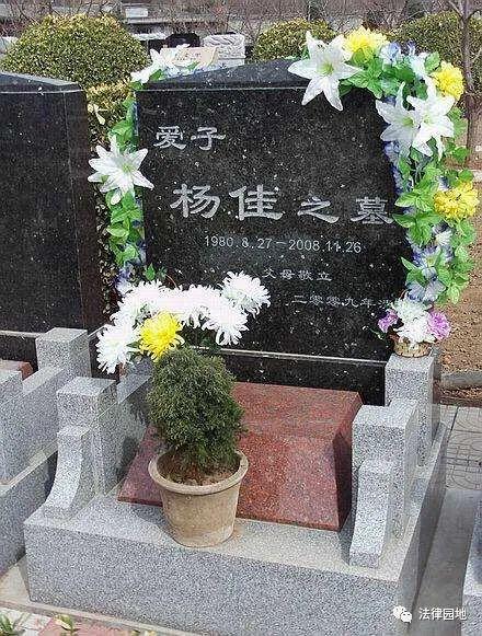 27岁杨佳刺死上海六警察案始末