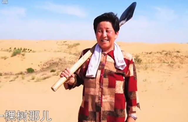 同样是治沙人,陕北农妇牛玉琴靠治沙成富婆,如今70多岁神采奕奕