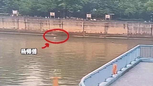 姑娘两次跳下钱塘江,网友评论:钓鱼佬的真实身份其实是