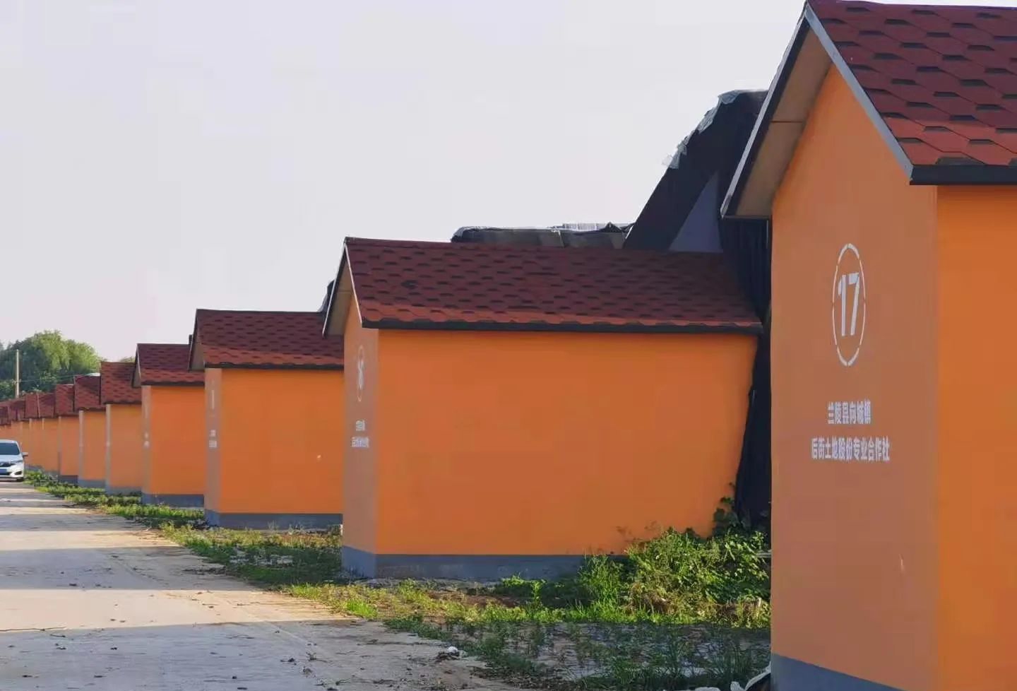 一亩园,十亩田——向城镇扎实推进蔬菜种植产业升级