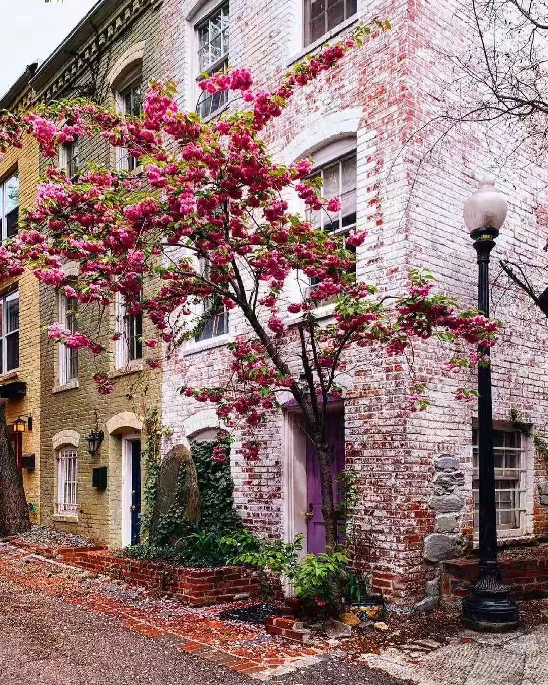 诗歌|「法」保尔·艾吕雅:自由