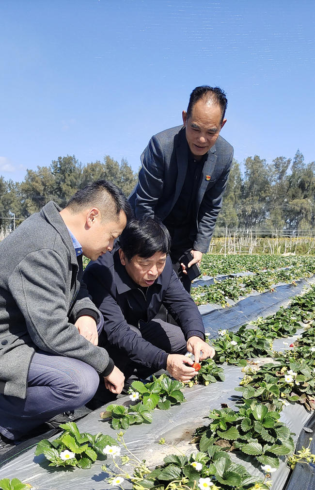 莆田东庄镇名人图片