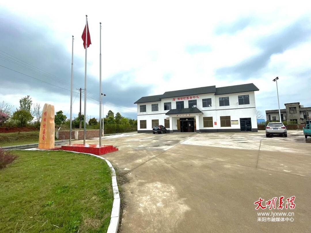 标准化 新变化|耒阳大和圩乡:标准化治理 催生乡村美丽"蝶变"