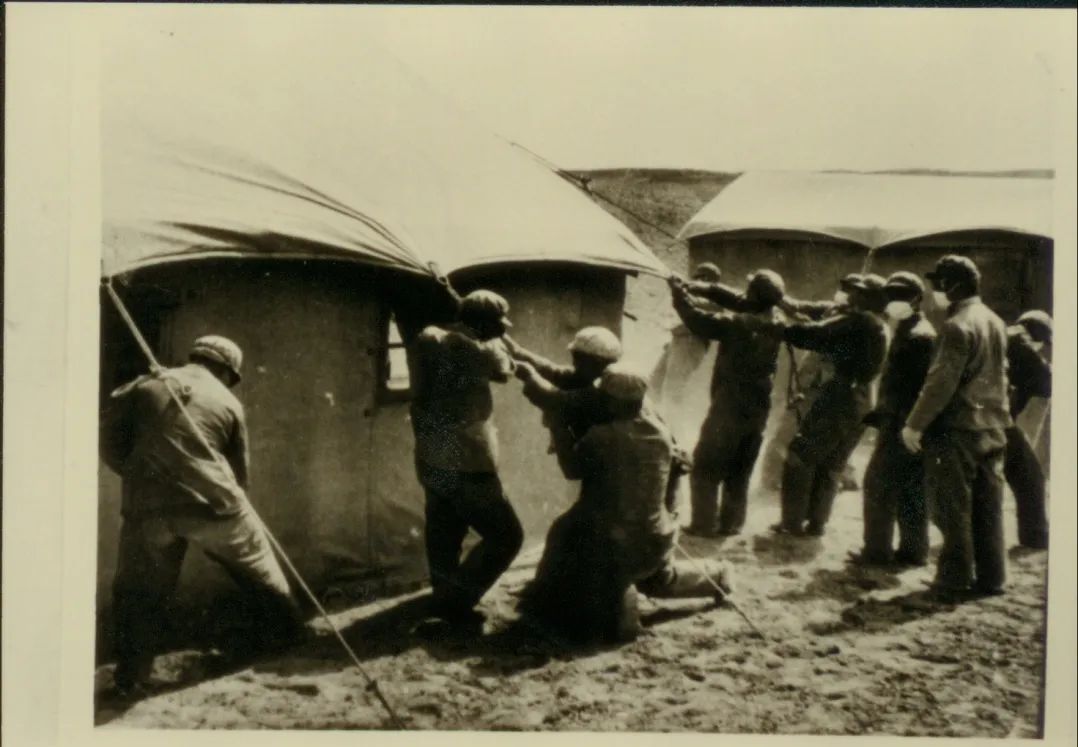 代号221,收到请回答