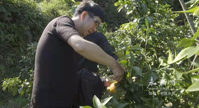 北城街道大亨村利用自然资源优势,促进集体经济和村民增收