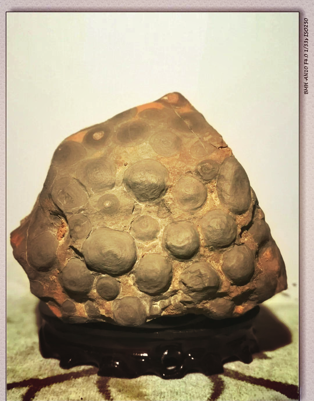 灰岩系列:从鲕状到金钱石的全貌