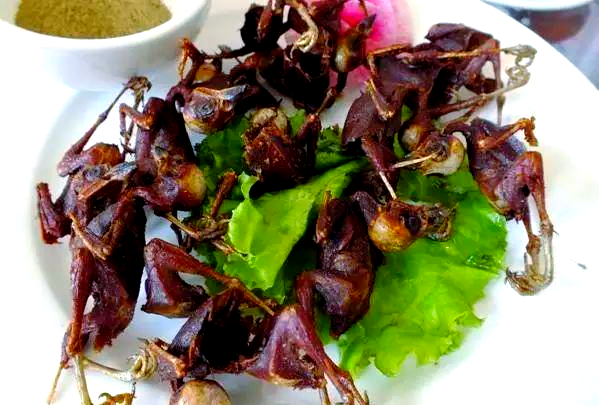 从传统菜肴到现代企业:油炸麻雀与转动咖啡的奥妙