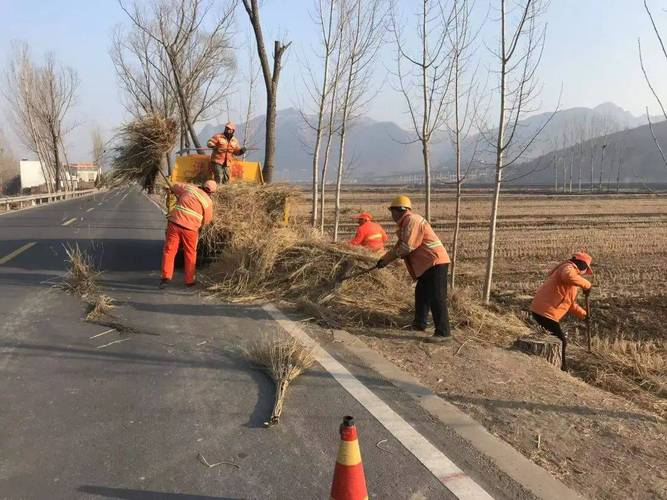 车王镇推进路域环境整治