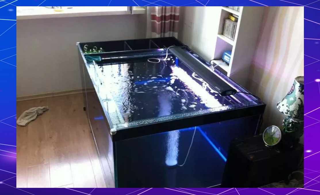 地缸发烧之旅:打造专业鱼缸的全程记录