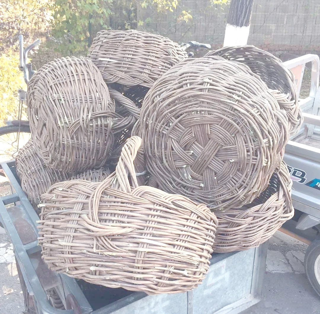 故乡的荆条:一种多功能的自然宝藏