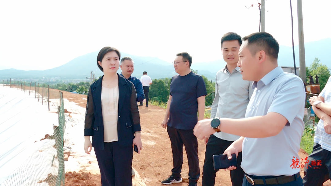 临武县委副书记,县长尹海莲检查安全生产工作:加大排查 快速整改 确保