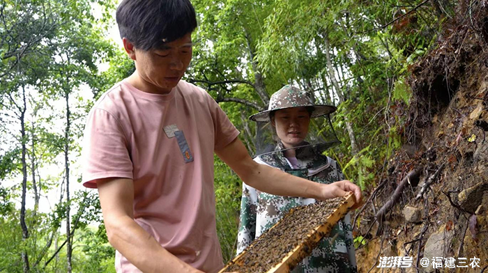 农村实用人才带头人丨邱文凯:讲好"野熊部落"的甜蜜故事