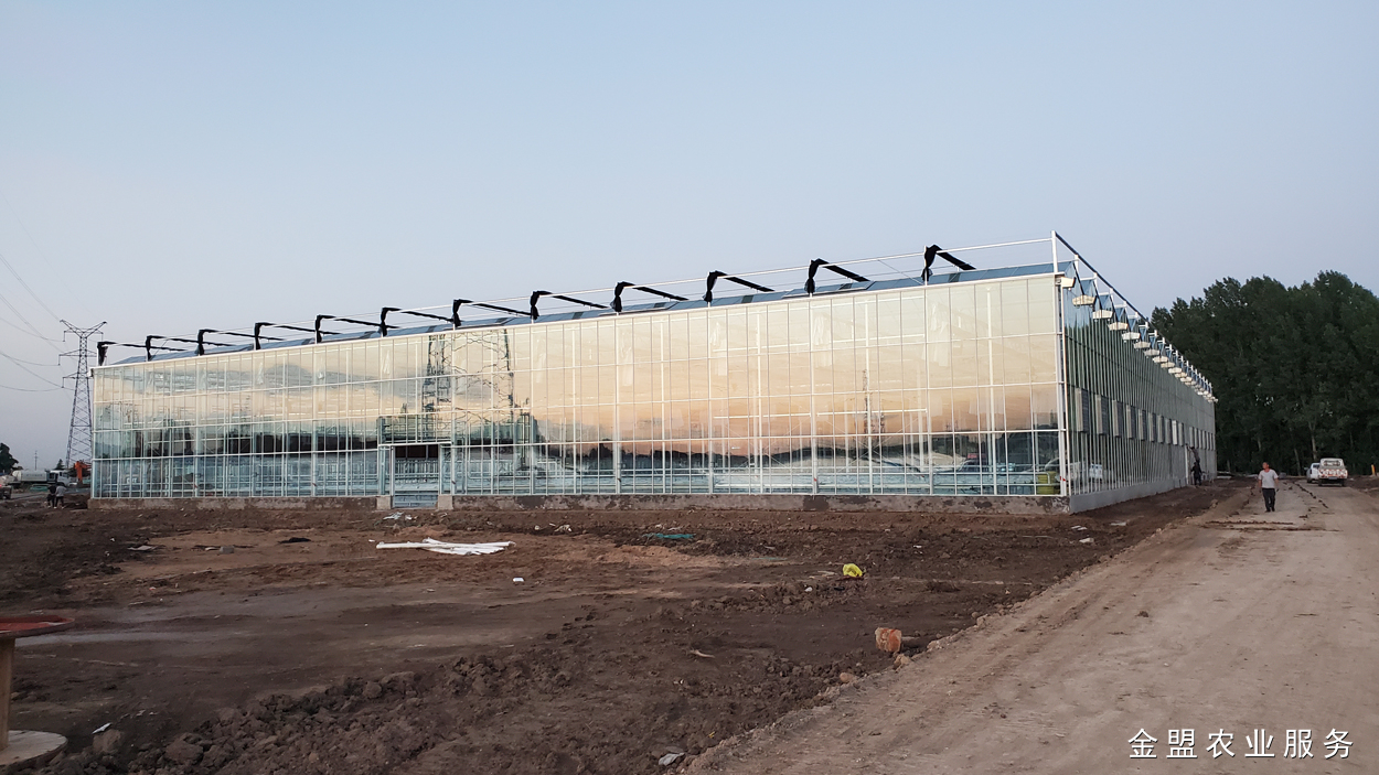 文洛式玻璃温室大棚