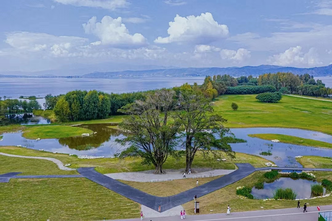 大理草海湿地公园图片