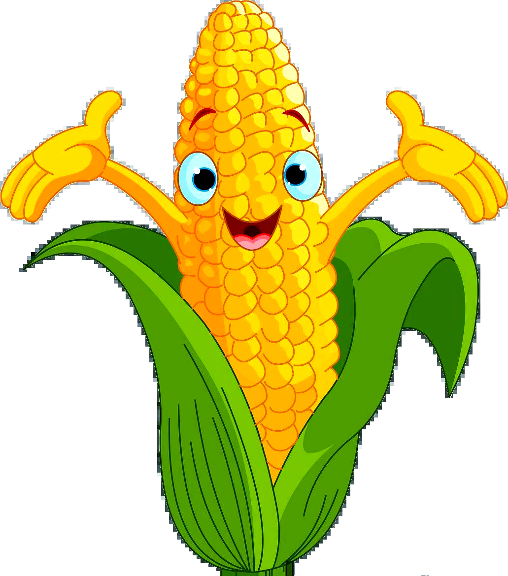 江北自然营地:玉米丰收季的多元体验