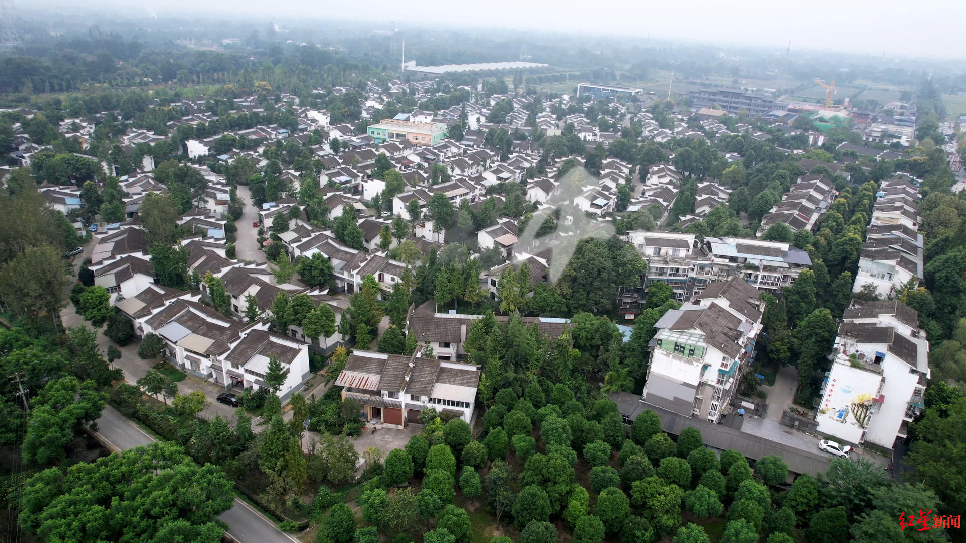 战旗村党总支书记高德敏:让战旗风采,为公园城市示范区建设"添彩"